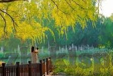 德州扑克2的大小-德州扑克2的大小，策略与技巧